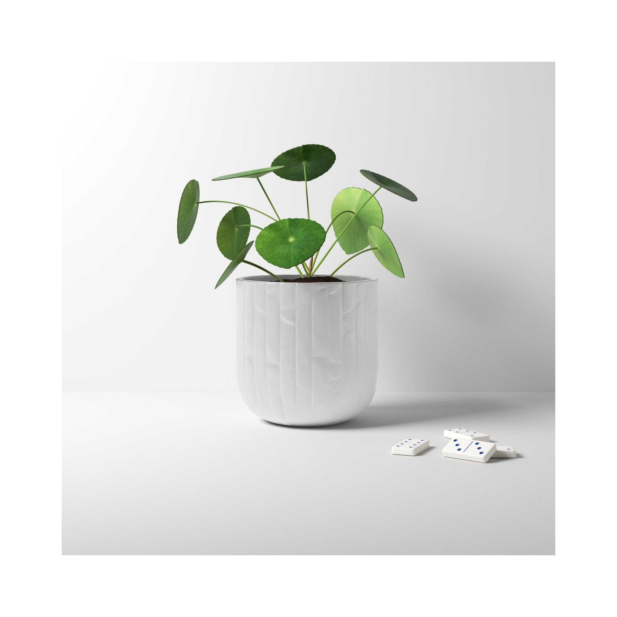 Briana Ceramic Pot Planter