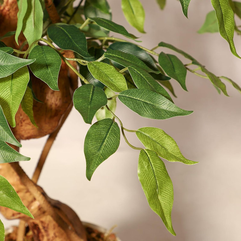 Ficus Artificial Tree with Curved Trunk