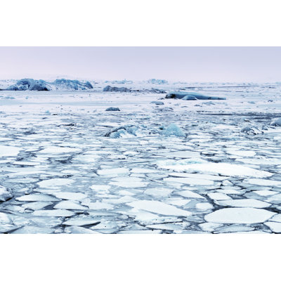 Landscape of Ice by Veronica Bogaerts