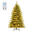 Arbre de Noël pin 6 pi pré-éclairé