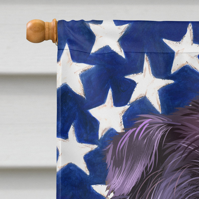 Polyester à 2 côtés 28 x 40 po drapeau maison, Affenpinscher
