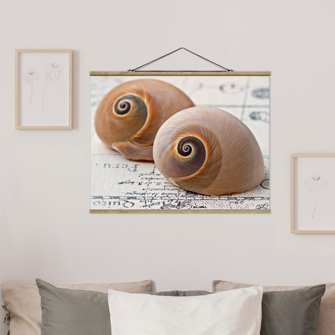 Stoffbild Mit Posterleisten - Muschelduo - Querformat 3:4