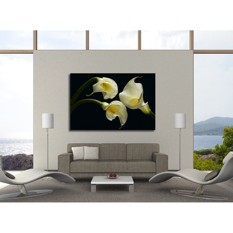 Three Calla Lillies by Barry Seidman - Wrapped Canvas Print, 51cm H x 76cm W x 4cm D