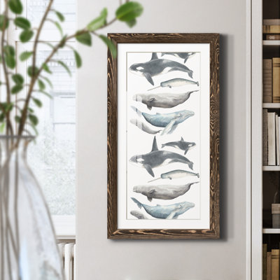 Watercolor Whale Collection B - Reproduction d'art graphique sur papier encadré