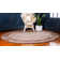 Alair Abstract Indoor Rug