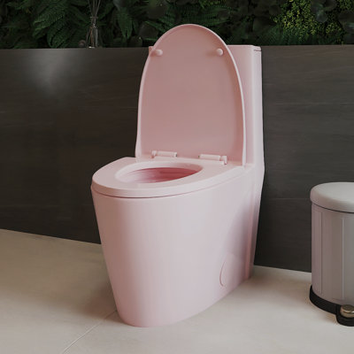 1.1/1.60 GPF Dual-Flush One Piece Toilet, Water-Saving Elongated Comfort Height Floor Mounted, Soft Close 1000 Gram Map Flushing Score Toilet, Rose Pink
