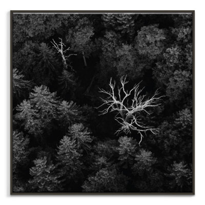 Print on Canvas