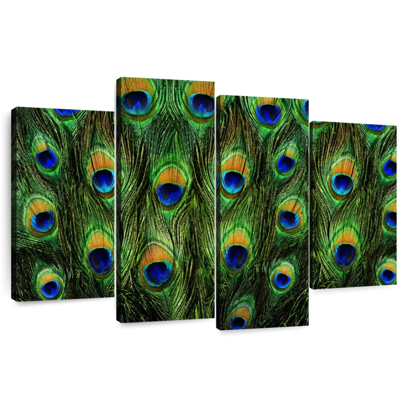 Brampt Peacock Tail, 22" H x 36" W