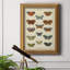 Histoire Naturelle, impression de papillons-481967991