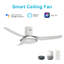 Ventilateur de plafond intelligent 52 po avec télécommande Daisy, ensemble d'éclairage inclus, fonctionne avec l'assistant Google et Amazon Alexa, raccourci Siri.