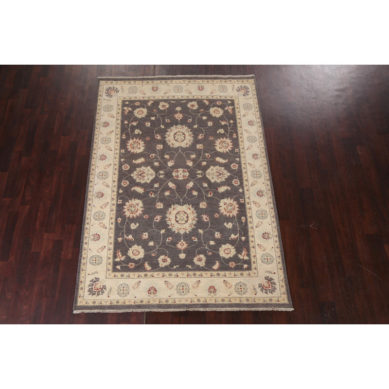 Tapis de couleur végétale Peshawar Chobi noué à la main 6 x 8