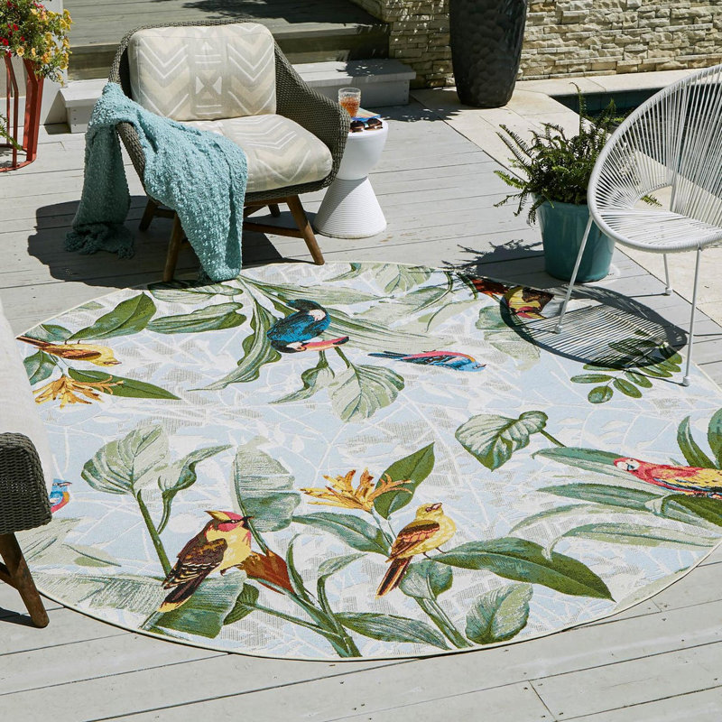 Shar Multi Chanticleer Indoor/Outdoor Modern Rug, Round 5'1"