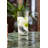 Basic Bar 12 oz. Highball Glass