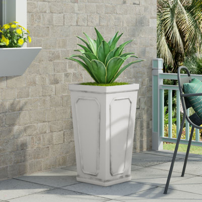MGO PLANT
