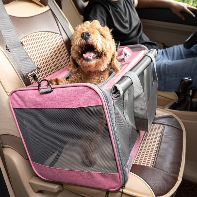 Sac de transport pour animaux de compagnie pour chats, sac de transport pour animaux de compagnie à côtés souples pour gros chats et chiots