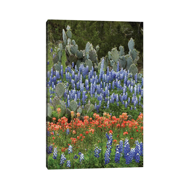 Bluebonnet, Paintbrush Cactus, Texas and Pricky Pear - Vertical 1 Piece Wrapped Canvas Wall Art