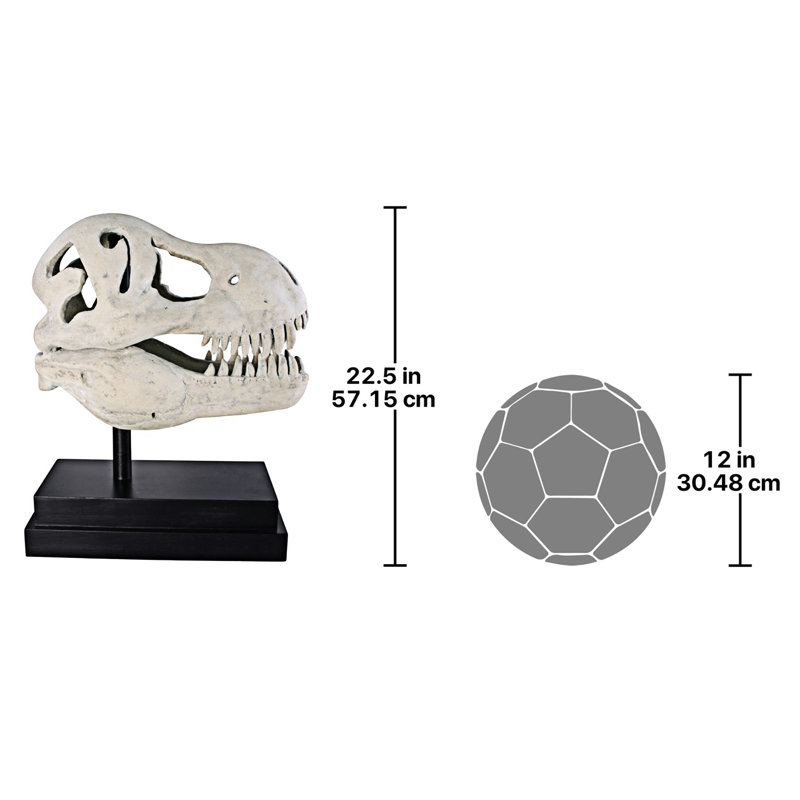 T-Rex Dinosaur Skull Fossil Sculpture