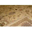Dania Oriental Area Rug
