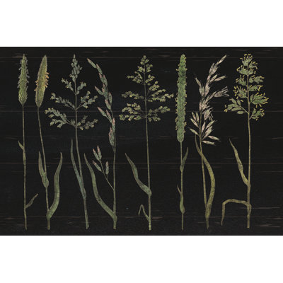 «Herbal Botanical VII Black Wood No Words» par Wild Apple Portfolio - impression