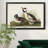" Buffel Headed Duck "-2096719438-2096719437