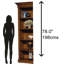 Shultz Solid Wood Bookcase