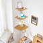 Eilerman Wood Floating Shelf
