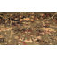 Alameda Geometric Indoor Rug-2104590018