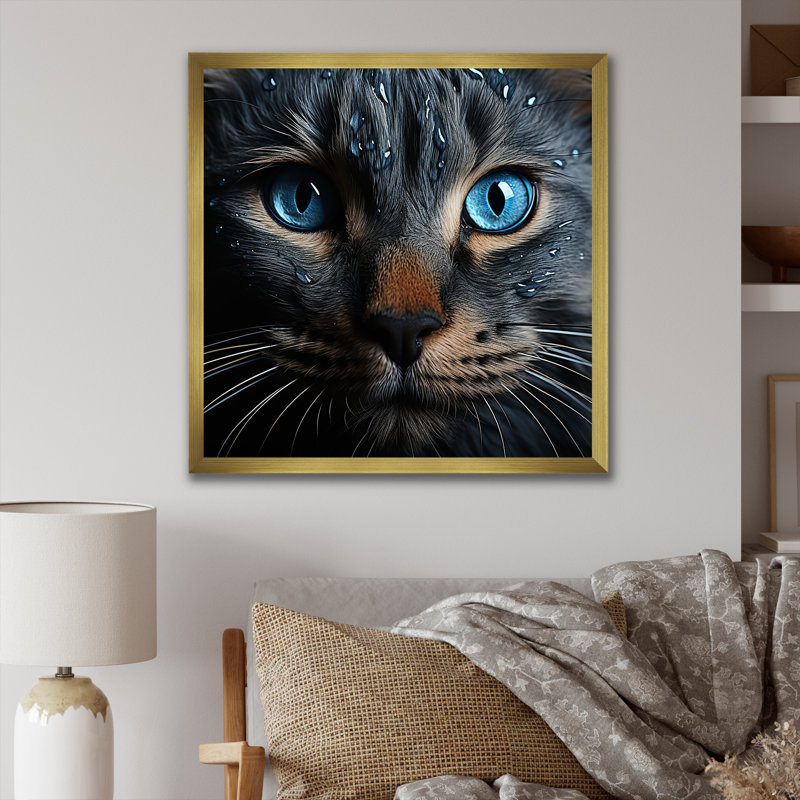 Chat, yeux bleus, chat, H 16 po x l 16 po x P 1 po, Cadre doré simple