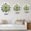 Peacock Bird - Horloge murale traditionnelle-60281089