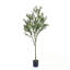 ARBRE D'OLIVE ARTIFIQUE 180CM