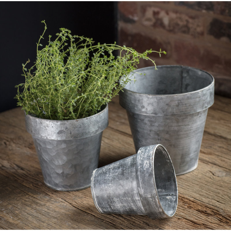 Pot de fleurs en zinc Sanjuana, H 5,5 po x l 5,5 po x P 5,5 po