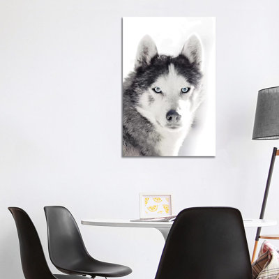 Husky Portrait by Monika Strigel - Wrapped Canvas Print