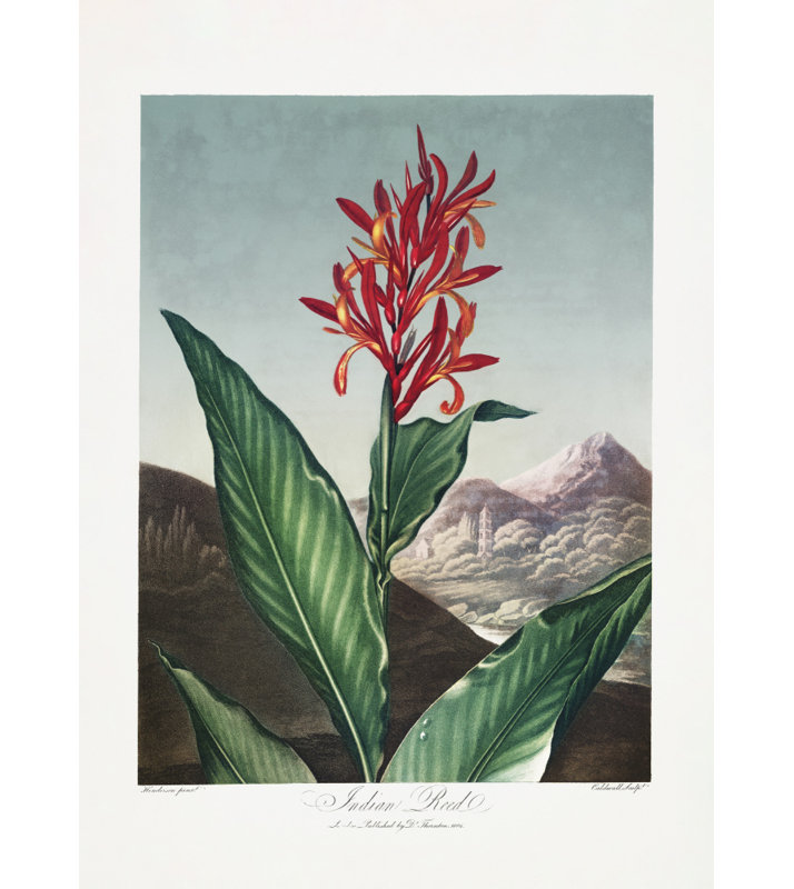 Wrapped Canvas Print, 91.44cm H x 60.96cm W