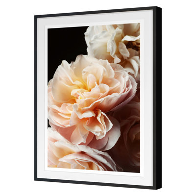 Floribunda I par Alicia Bock - reproduction de cadre photo simple
