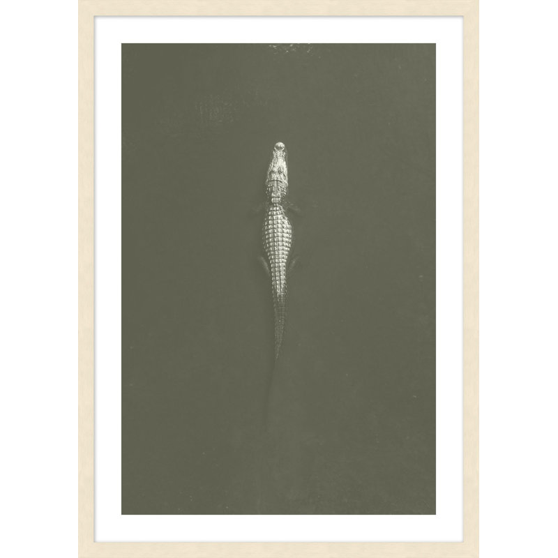 Creeping Crocodile Print