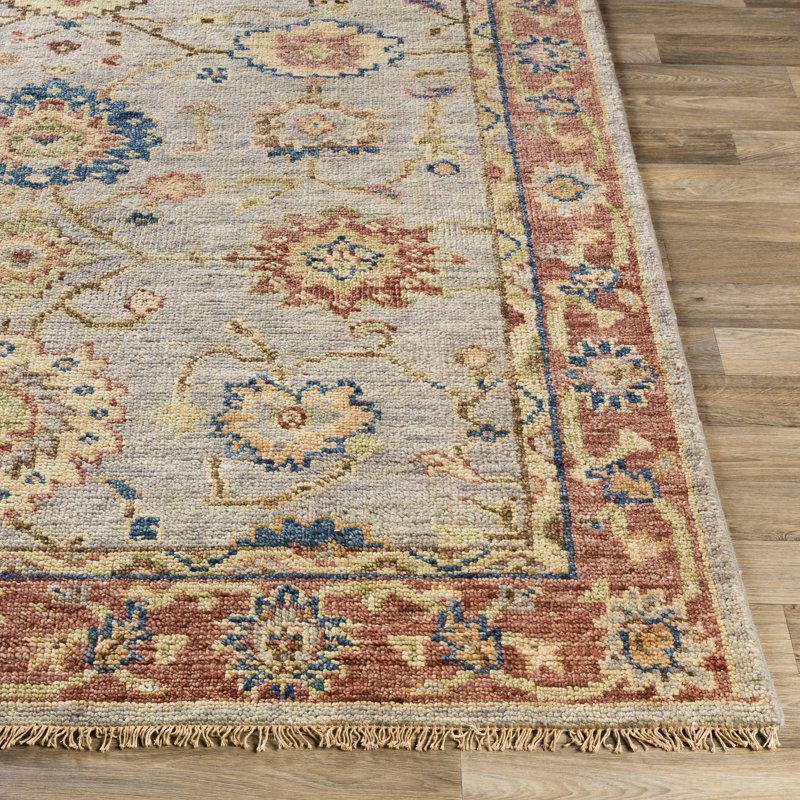 Biscayne Wool Oriental Area Rug, Rectangle 4' x 6'