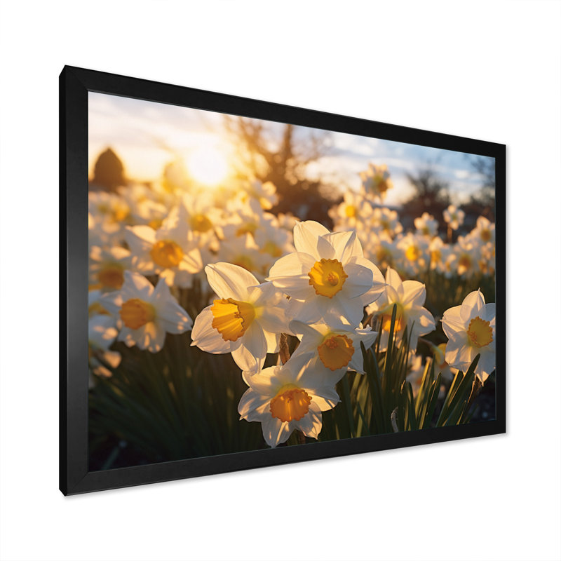 Daffodils Field Sunrise I - Floral Wall Decor, Cadre simple noir, H 30 po x l 40 po x P 1,5 po