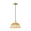 Mini-luminaire suspendu 1 lumière Natural Ballston Dome-2129555822-2137687717