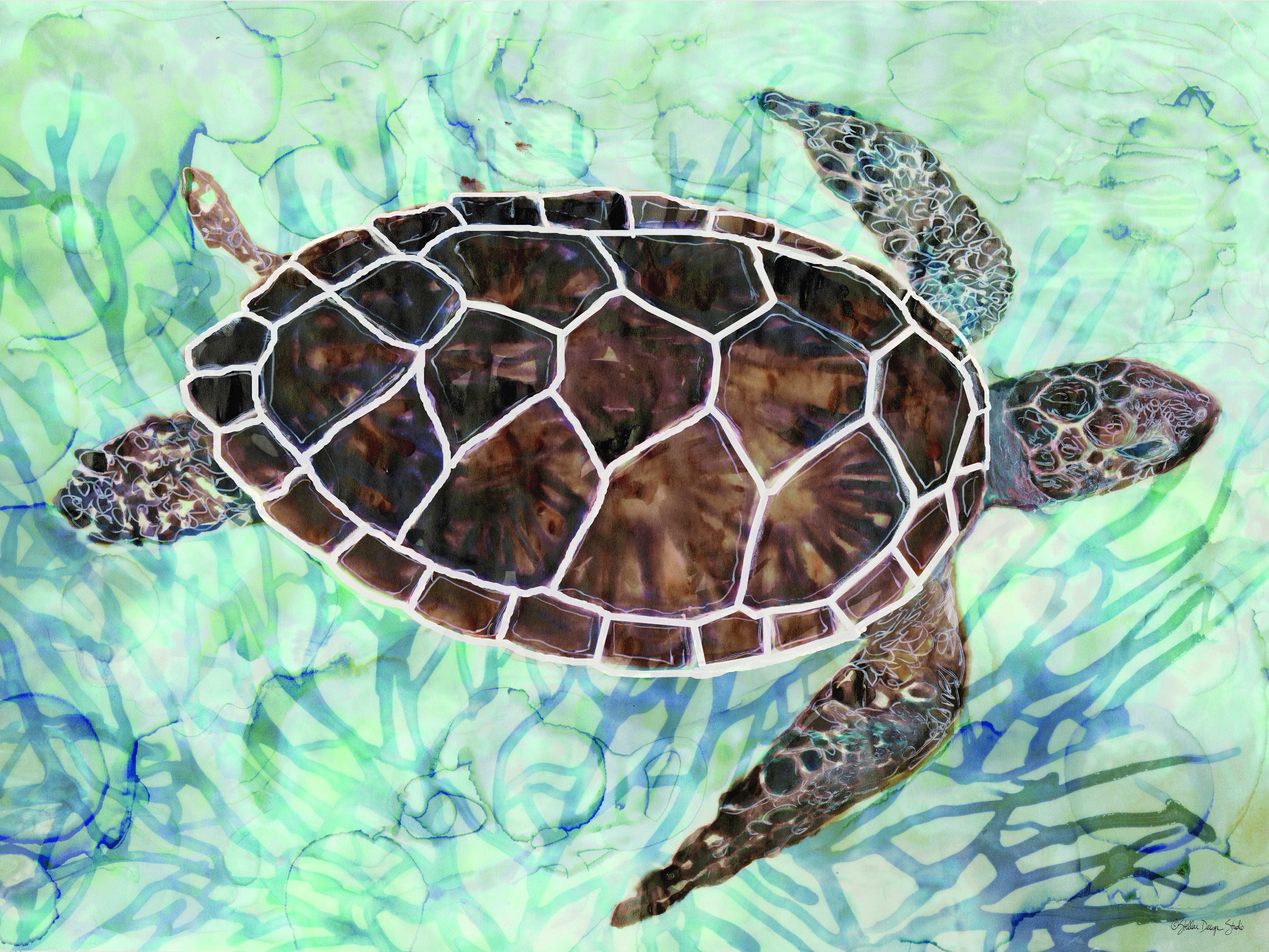 Brown Sea Turtle - Acrylic Paint by Numbers Kit