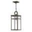 Porter 1 -Bulb 19" H Outdoor Hanging Lantern-1849720390