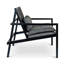 Modern Brazilian Lounge Chair-1046896067