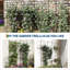 66.9cm H x 101.52cm W Metal Fan Trellis Side Panel