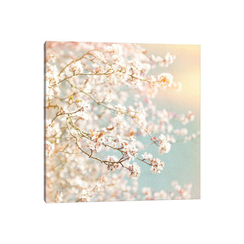 Sunlit Blossom - Wrapped Canvas Print, 93.98 cm H x 93.98 cm W x 1.91 cm D