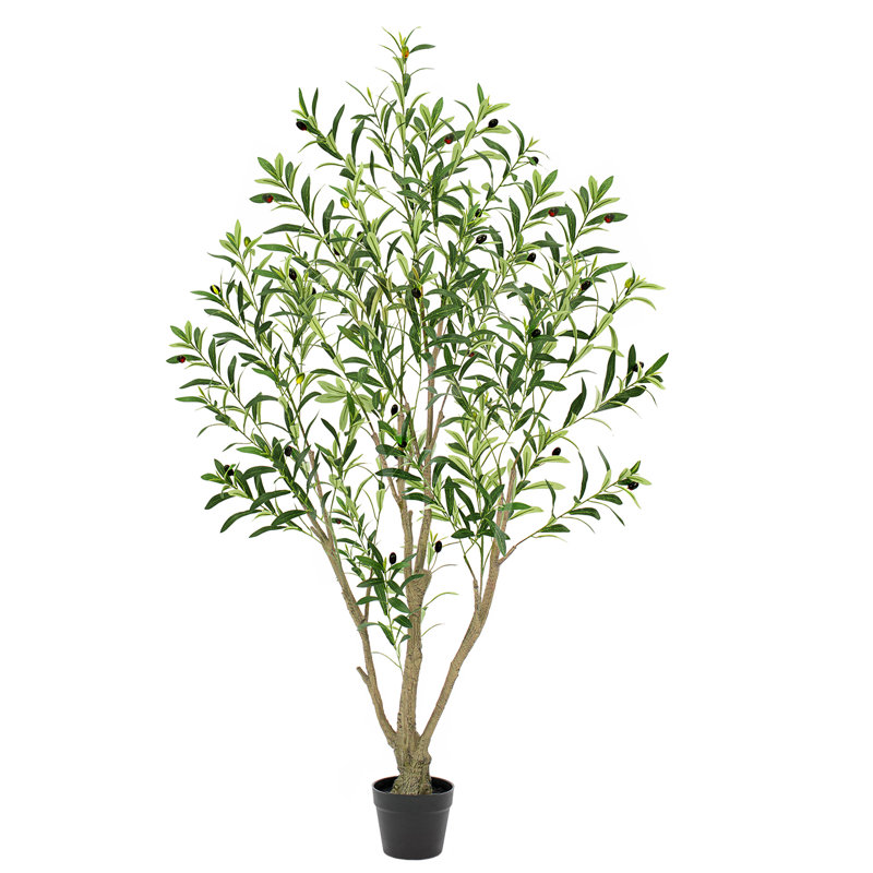 Arbre d'olivier artificiel 5 pi en pot de ciment noir, 34 po x 35 po