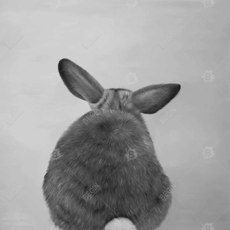 " Little Rabbit From Behind ", 24" H x 24" W