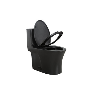1.1/1.60 GPF Dual-Flush One Piece Toilet, Water-Saving Elongated Comfort Height Floor Mounted, Soft Closing Seat, 1000 Gram Map Flushing Score Toilet, Matte Black