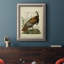 Audubon Wild Turquie - reproduction d'art sur toile-585684724
