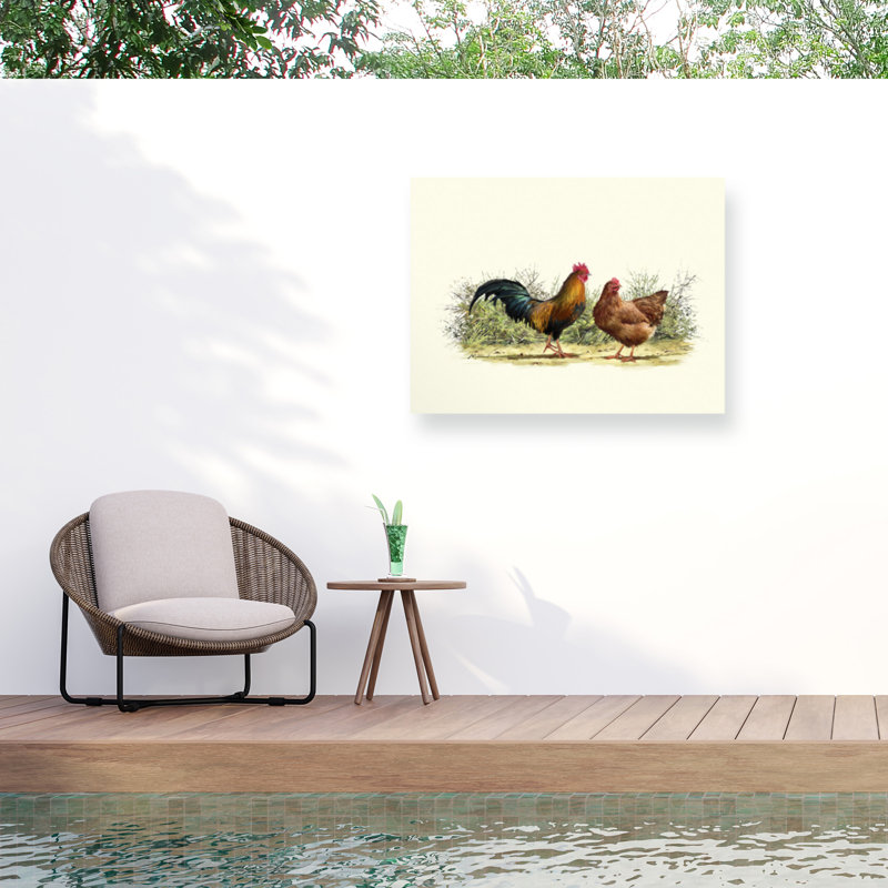 Toile d'extérieur Ashawn The Macneil Studio «Cockerel and Hen», H 35 po x l 47 po x P 1,5 po