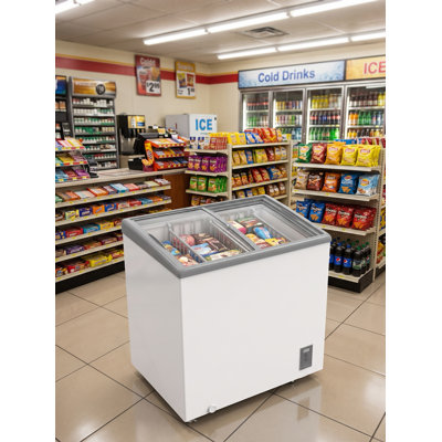 Congélateur commercial à porte coulissante en verre 24 "avec serrure et roulettes en blanc