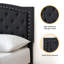 Queen Size Upholstered Platform Bed with Adjustable Button-Tufted Wing Back Headboard, No Box Spring Needed-462178380-462178383